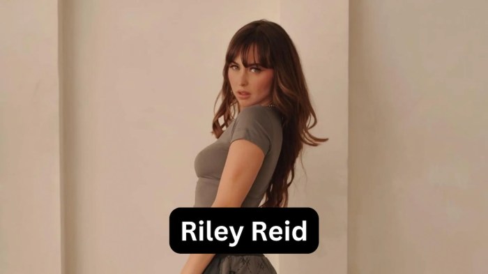 Riley reid tmdb themoviedb database informacje 정보 Https://www.youporn.com/watch/11710095/petitehdporn-riley-reid-and-janice-griffith-perfect-petites/