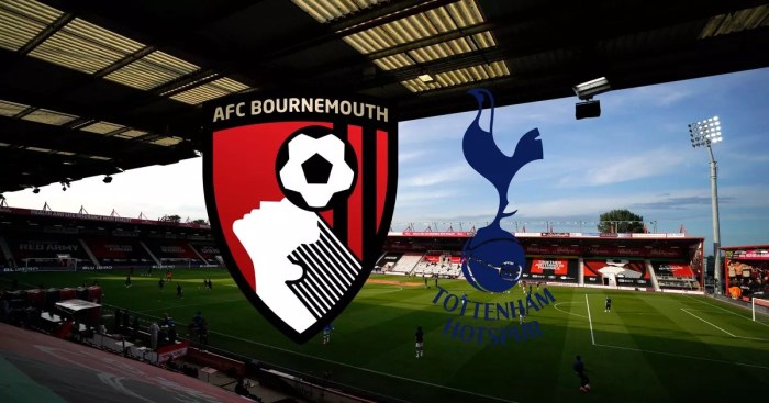 Tottenham bournemouth hotspur dream11 tot